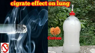 What enters you lungs after smoking a single cigarette #short #smoking #experiment