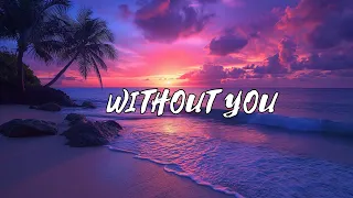 David Guetta - Without You - Violin Cover