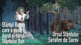 Ursul Sfântului Serafim de Sarov * Sfântul Rusiei care a avut darul și harul Sfântului Duh