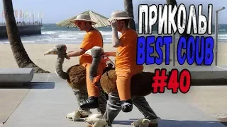 #ПРИКОЛЫ за Июнь 2018 | BEST COUB 2018 ▶ 40ъ