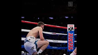 Canelo Alvarez Body shots