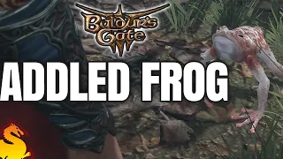 Addled Frog & Hidden Treasure - BALDUR'S GATE 3