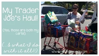 MY TRADER JOE'S HAUL | & What I Plan to Make with It All!