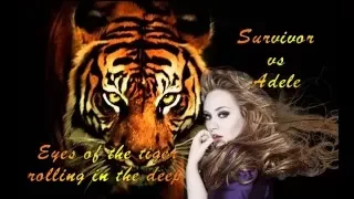 Survivor vs Adele - Eyes of the tiger rolling in the deep