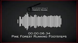 Footsteps Running in Pine Forest | HQ Sound Effects