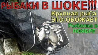 Я был в ШОКЕ как и все РЫБАКИ. Лови всю рыбу по холодной воде. Супер рыболовная насадка в ноябре.