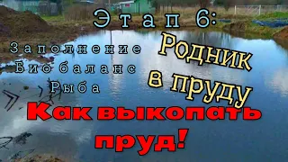 Как выкопать пруд. Этап 6: Заполнение, Биобаланс, Рыба, Родник в пруду   How to dig a pond. Stage 6
