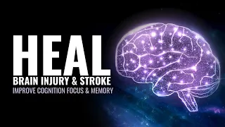 Heal Brain Injury and Stroke | Increase Nerve Cells In The Brain | Improve Cognition Focus & Memory