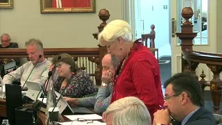 Dunedin City Council - Council Meeting - 11 December 2017