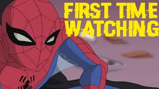 I watched the Spectacular Spider-Man for the first time...