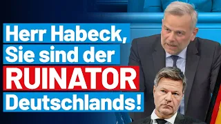 Die dilettantische Wirtschaftspolitik muss ein Ende haben! Leif-Erik Holm - AfD-Fraktion