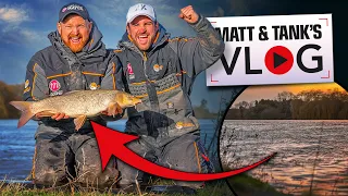 Catching The Impossible | Matt and Tank VLOG #021