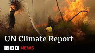 UN climate report: Scientists release ‘survival guide’ to avert climate disaster - BBC News