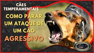 COMO PARAR UM ATAQUE DE CÃO - OBRIGATORIO PARA DONOS DE PIT ROTTWEILER E CÃES GRANDE PORTE