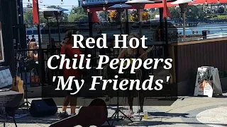 🤘🌼☀️Craving Rain COVER of Red Hot Chili Peppers, 'My Friends' 🤘🌼☀️