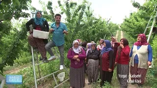 Gündüz Gece - Yozgat/Kadısehri/Kabalı Köyü | 4 Ağustos 2018