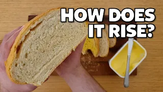 The Science of Making Bread!