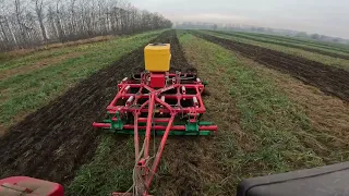 MTZ 1221.3 + Agro-Masz Runo, 2022.12.05 szántóföldi kultivátorozás, Horsch LD kapával