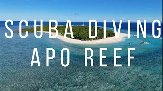 Scuba Diving Apo Reef (Mini Tubbataha) on a Budget