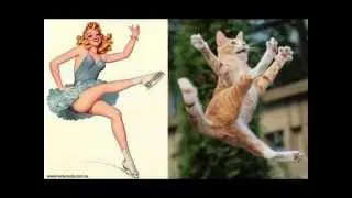 cats do pin up poster too!