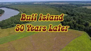 Bull Island Music Festival 50 Years Later
