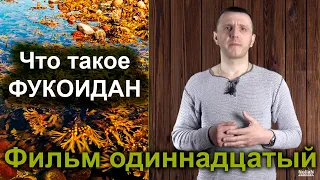 #Водоросли #Фукус. Что такое #фукоидан - продолжение. Фильм одиннадцатый