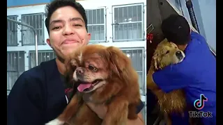 Trabajador de veterinaria se hace viral al ser grabado bailando mientras baña a mascota