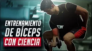 El mejor entrenamiento para bíceps / CIENTÍFICAMENTE COMPROBADO