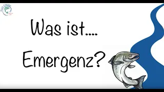 Fisch-Checker: Was ist... Emergenz?