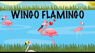 Wingo Flamingo | Songs for kids | Learning through music | Birds for kids