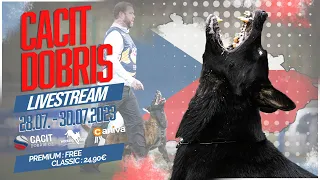 Livestream Trailer // CACIT Dobris 2023 // Working-Dog