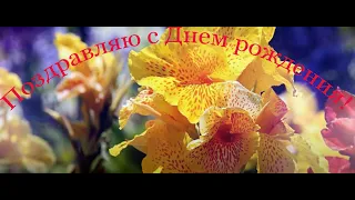 Поздравляю с Днем рождения!!! Красивое поздравление с Днем рождения, 🎼музыкальное видео🎹