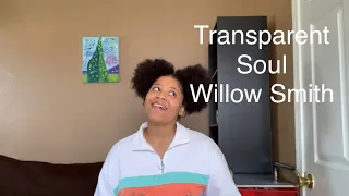 WILLOW SMITH- Transparent Soul (cover)