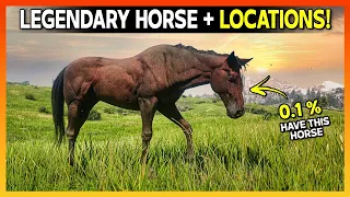 Get RARE Blood Bay Thoroughbred Horse With Location - RDR2