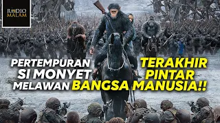 PERTARUNGAN TERAKHIR KERA MELAWAN MANUSIA - Alur Film War For The Planet of The Apes (2017)