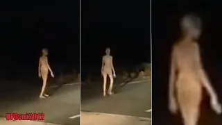 Mysterious alien-like creature spotted walking in the middle of a road