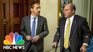 Steve Scalise: Gun Rights Are Unlimited Thanks To Founding Fathers | Meet The Press | NBC News