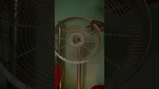 Cleaning my smart fan