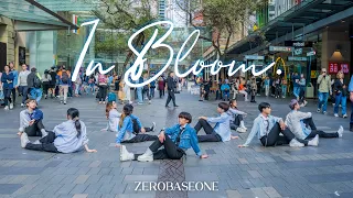 [KPOP IN PUBLIC] ZEROBASEONE (제로베이스원) - 'In Bloom' | ONE TAKE | 커버댄스 | MAVERICK | AUSTRALIA