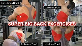 super back excercises to workout / gym build strong body