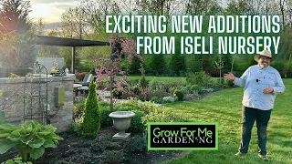 Planting Unique Evergreens and Trees from Iseli Nursery ⭐️ Color and Texture in the Garden