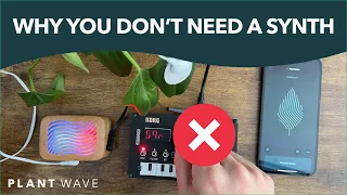 Why You Don't Need a Synthesizer (to listen to plants)