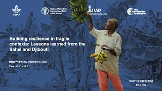 Building Resilience in fragile contexts: Lessons learned from the Sahel and Djibouti