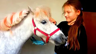 24 часа в конюшне / Конь поцеловал Алину / Лини Ленд