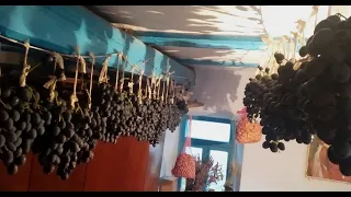 Простой способ хранения винограда до весны в домашних условиях.