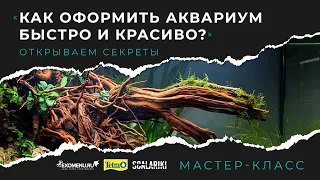 Как оформить аквариум быстро и красиво. Запись мастер-класса