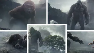Kong led into an ambush