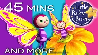 Learn with Little Baby Bum | Butterfly Song | Nursery Rhymes for Babies | Songs for Kids