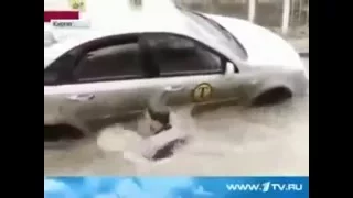 Таксист упал в лужу а там... (fell in a puddle and was found with a shark)