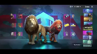 Lion Hola Buddy Opening 🦁 | PUBG Mobile 🔥